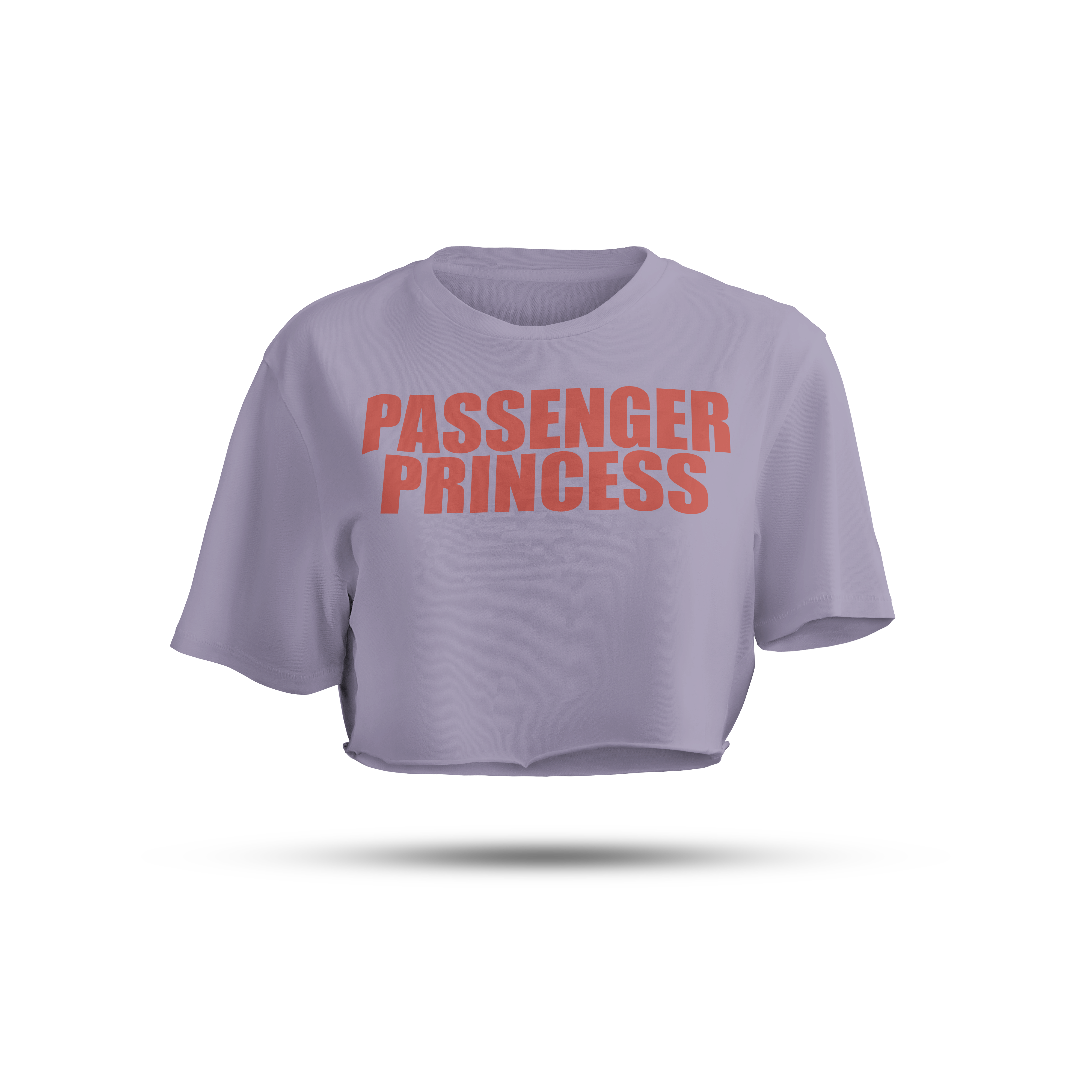Passenger Princess | Lavender/White Crop Tee