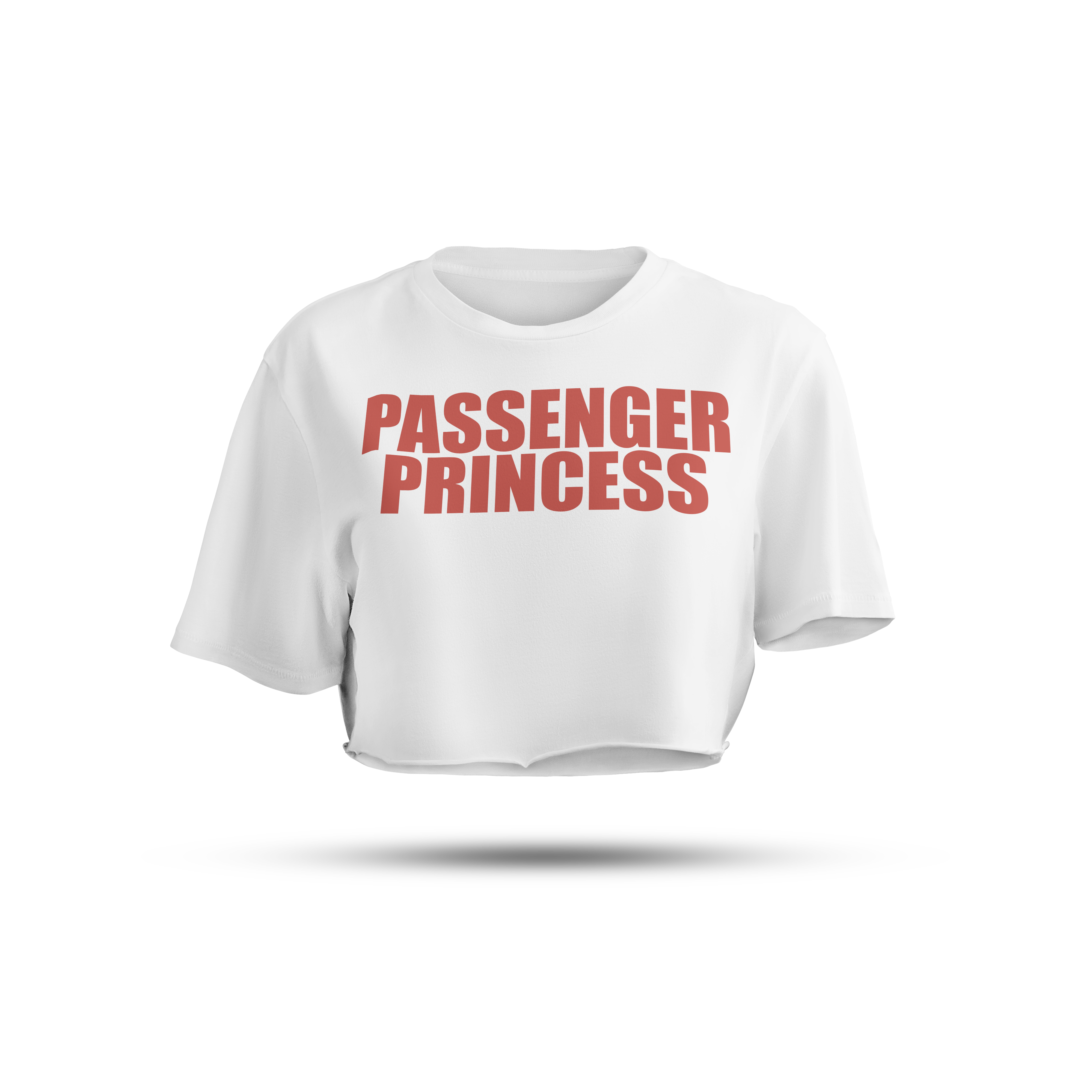 Passenger Princess | Lavender/White Crop Tee
